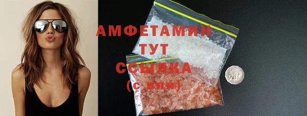 молекула духа Арсеньев