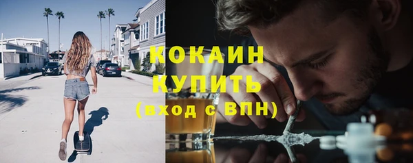 молекула духа Арсеньев