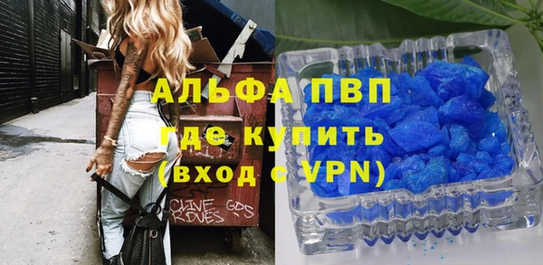 молекула духа Арсеньев