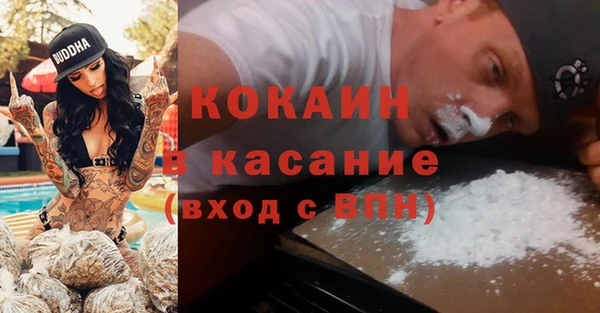 молекула духа Арсеньев