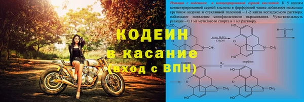 молекула духа Арсеньев