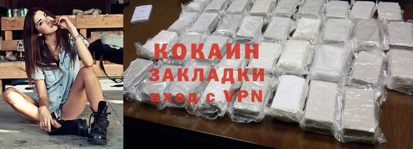 молекула духа Арсеньев