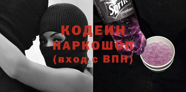 молекула духа Арсеньев