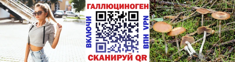 как найти   Ачинск  Галлюциногенные грибы ЛСД 